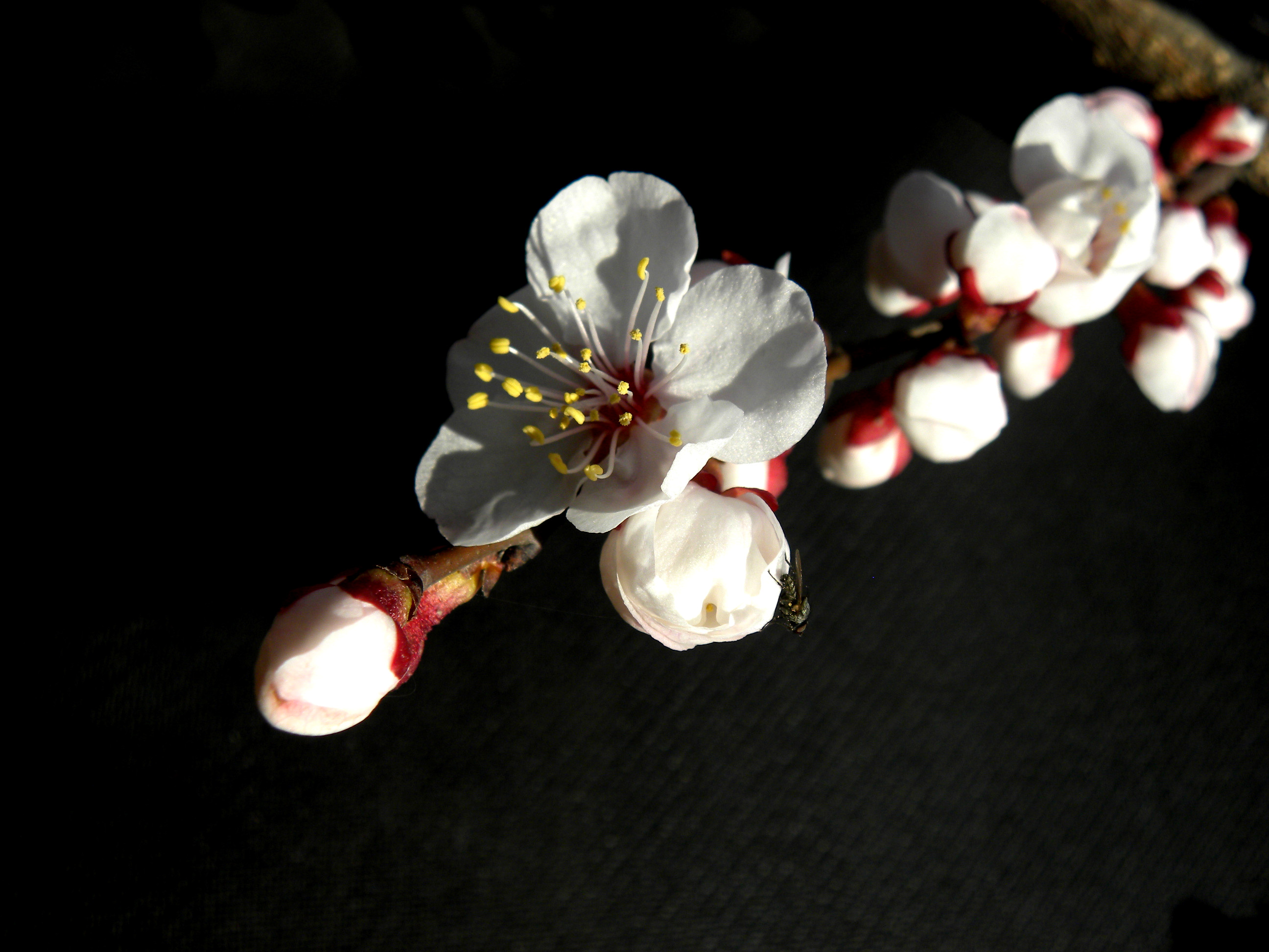DSCN0478_.jpg