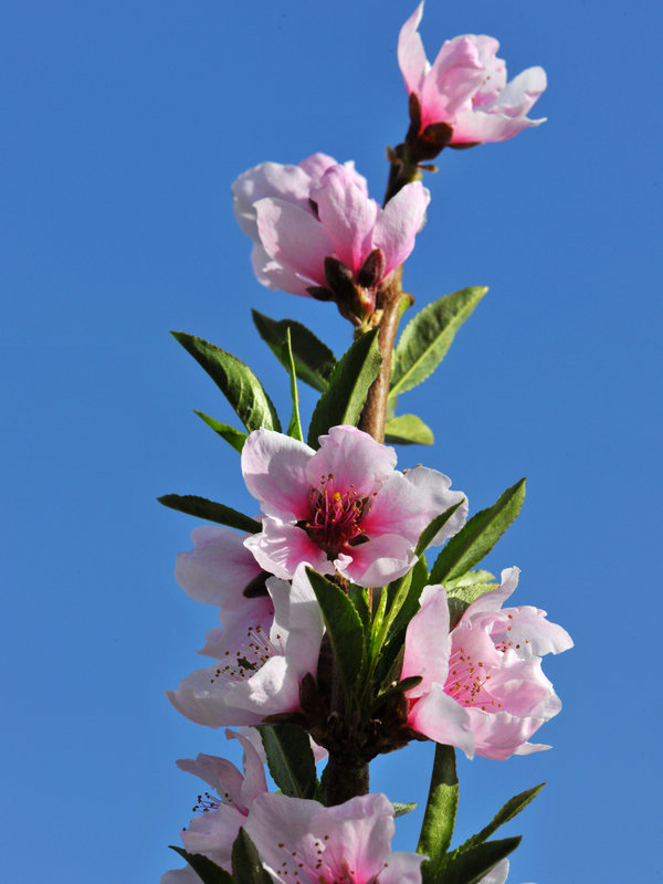 DSC_0015.jpg