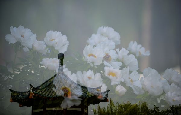 2013041471769425_middle.jpg