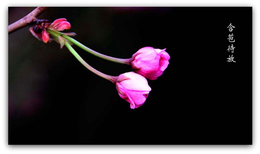 ӣƬ 033_.jpg