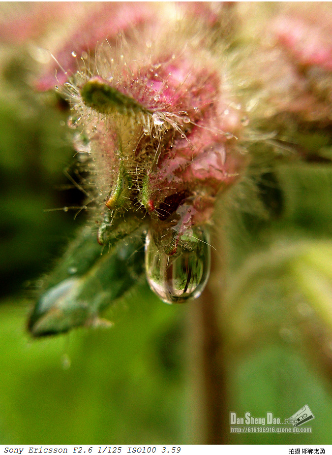 2013-04-16-12.jpg