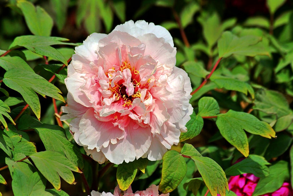nEO_IMG_DSC01839_conew1.jpg