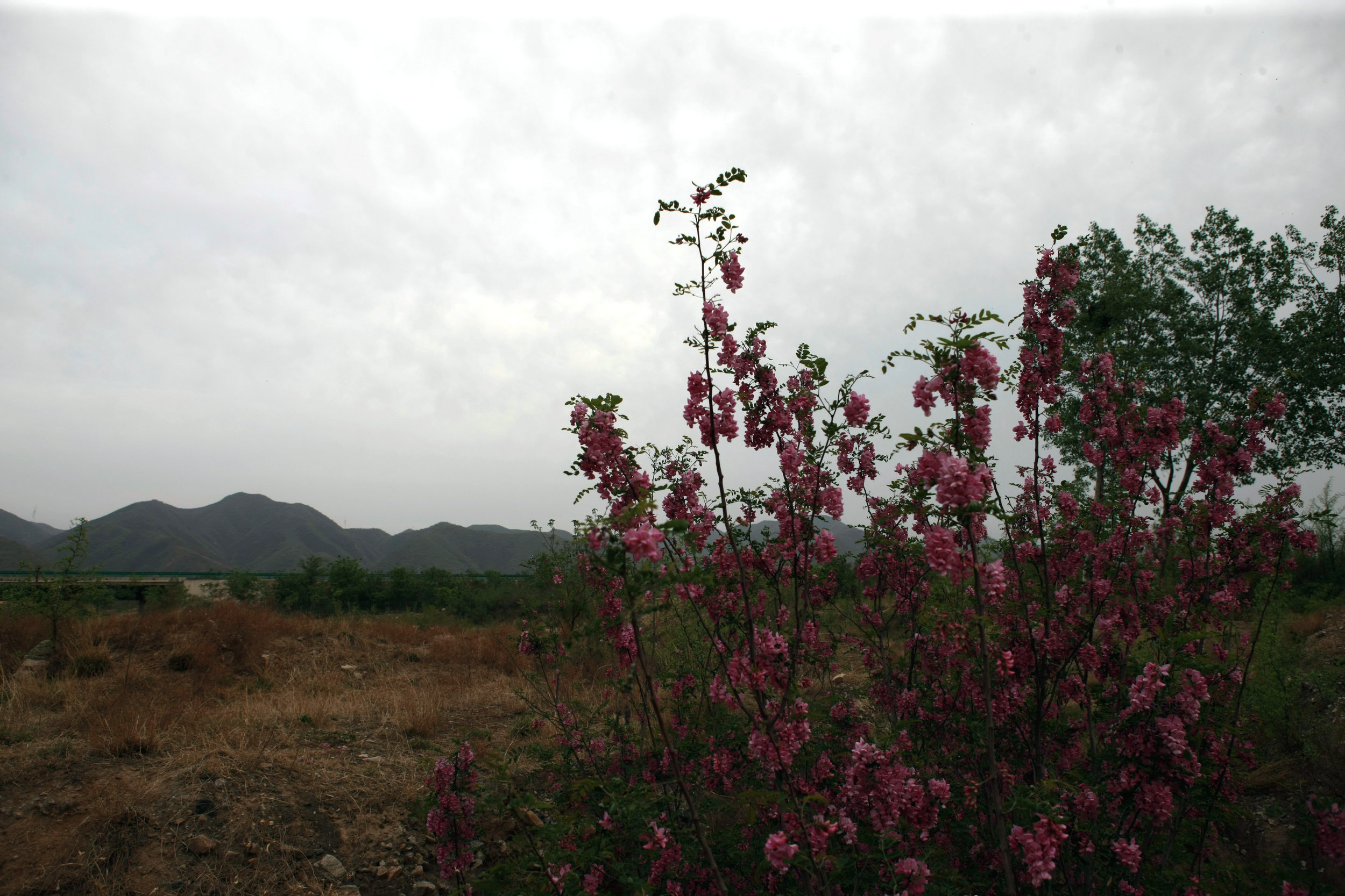 5C9J0781.jpg