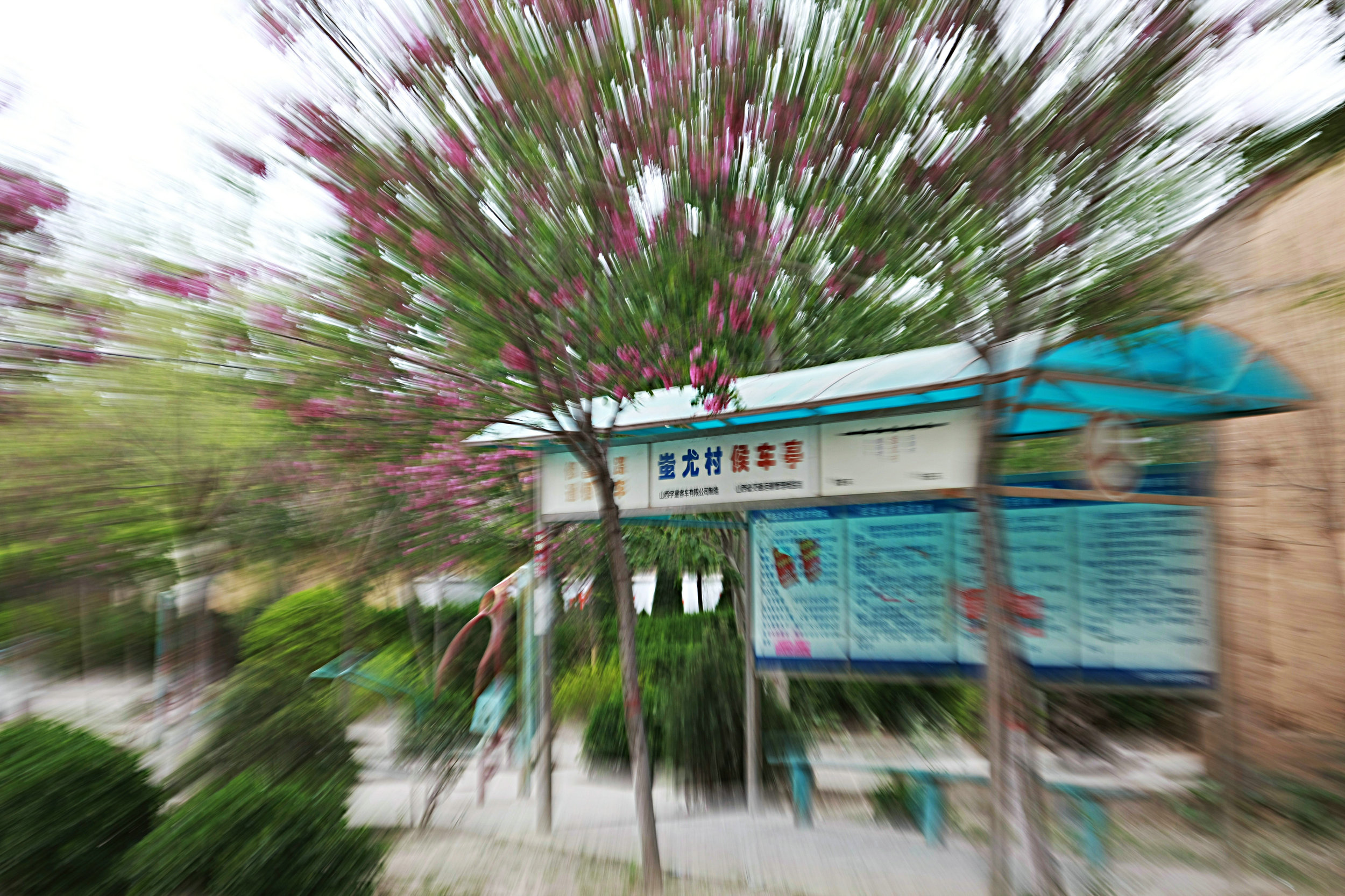5C9J0829.jpg
