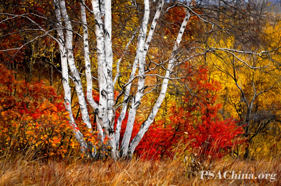 ѧƷɫʡ(Autumn colors).jpg
