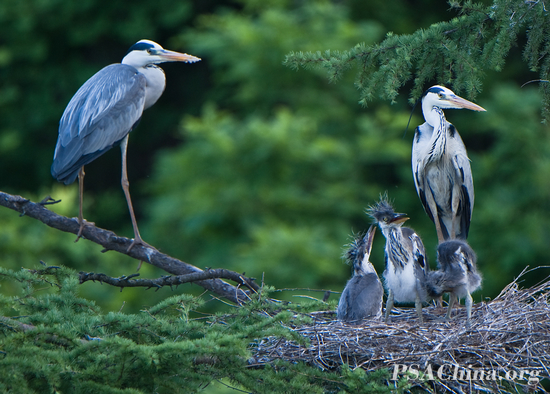 ¦Ʒһס(Happy Family).jpg