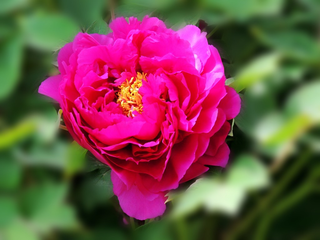 DSCN2078_conew2.jpg