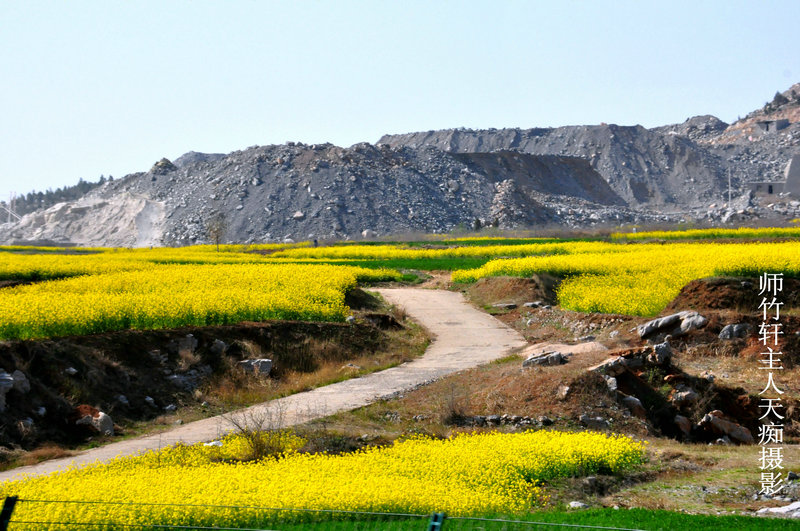 DSC_4972.jpg