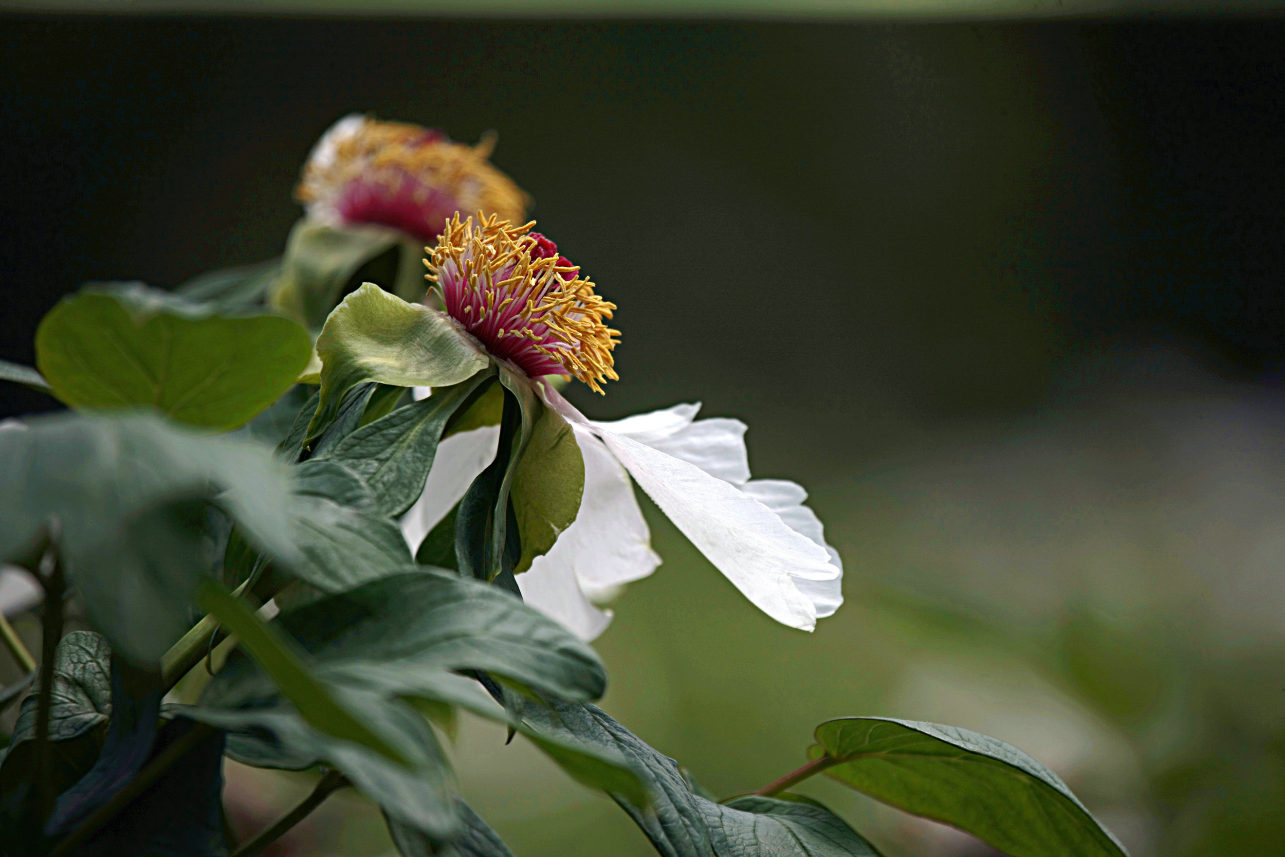 5C9J1282.jpg