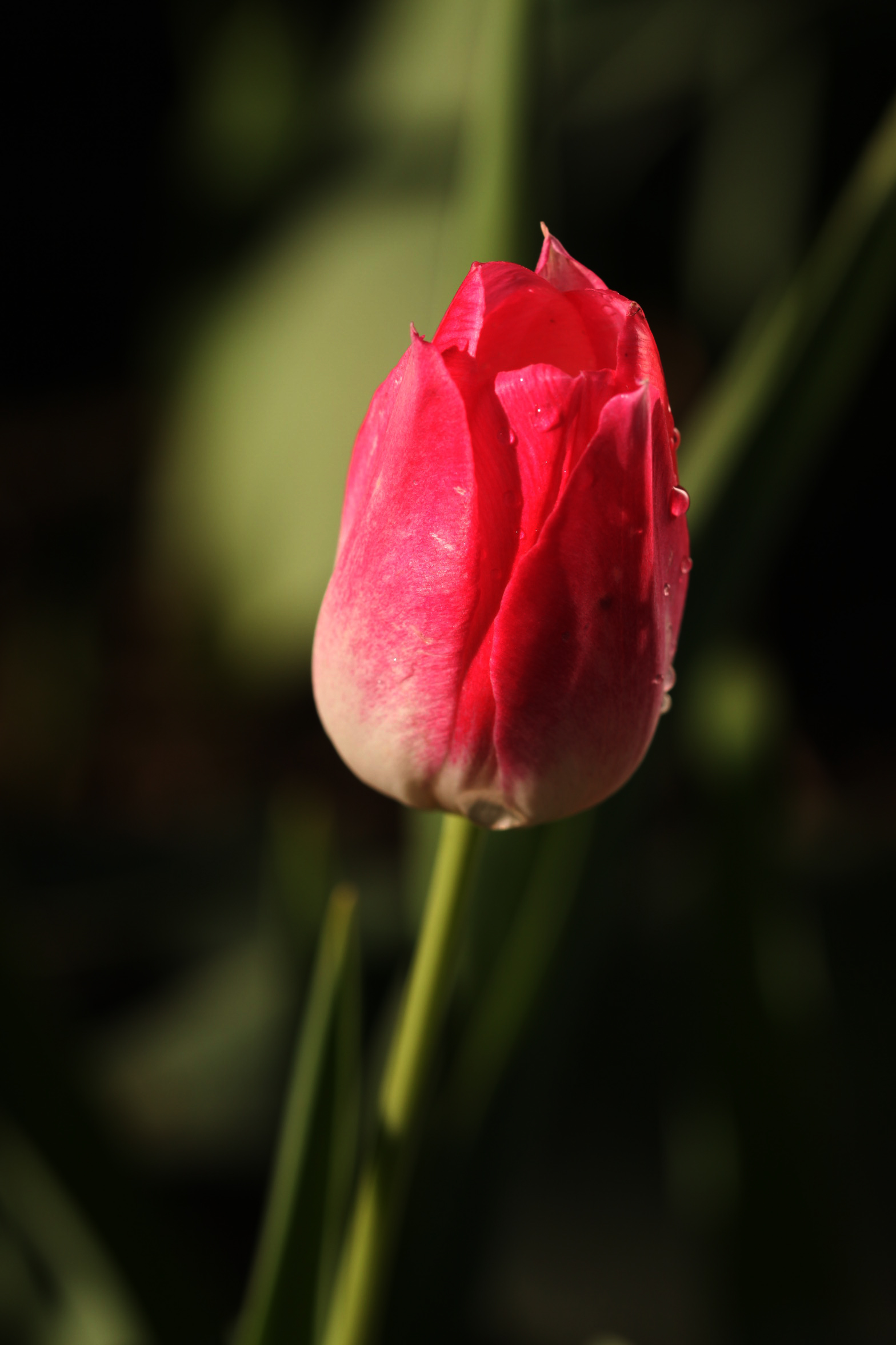 IMG_3150.JPG