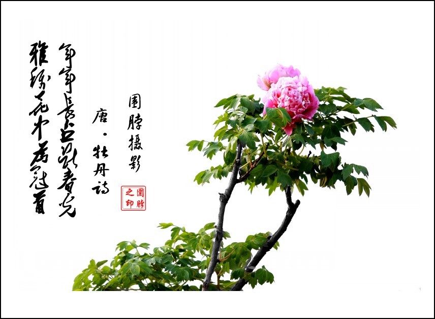 IMG_3897_conew2.jpg