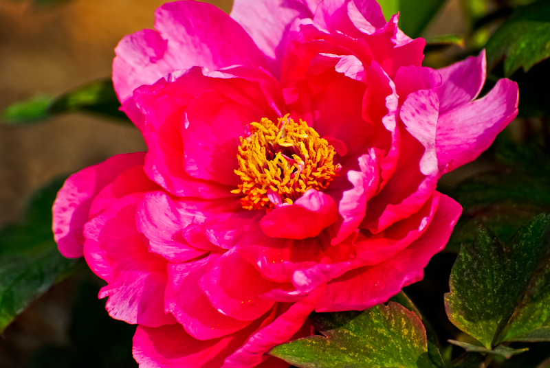 DSC_0537.jpg