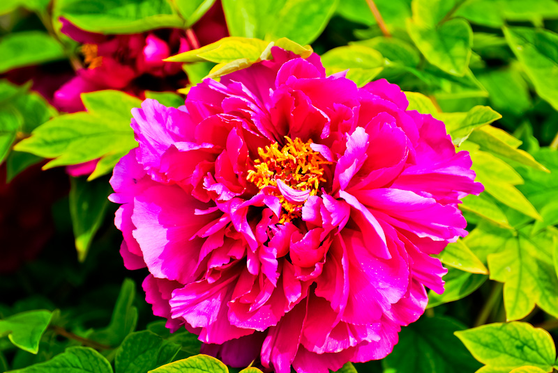 DSC_0541.jpg