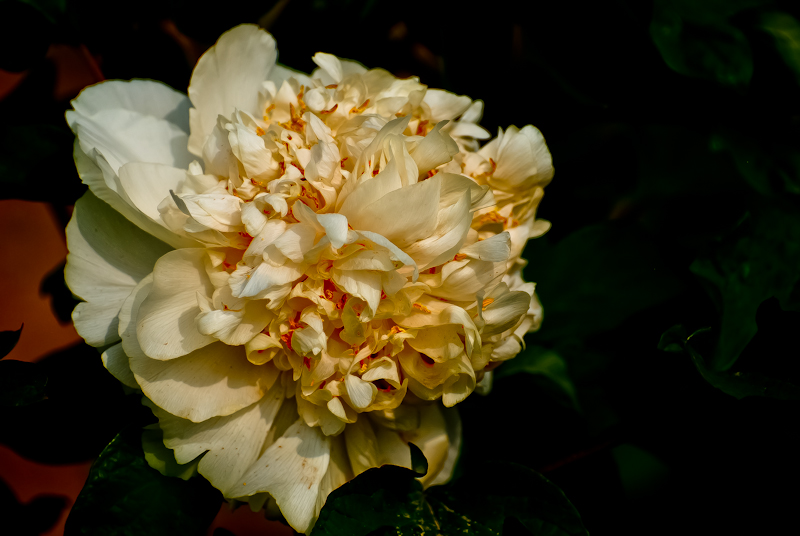 DSC_0574.jpg