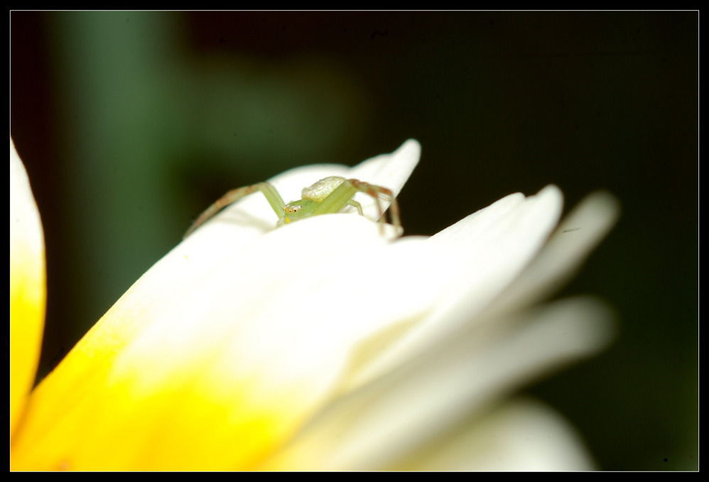DSC_2290___.jpg