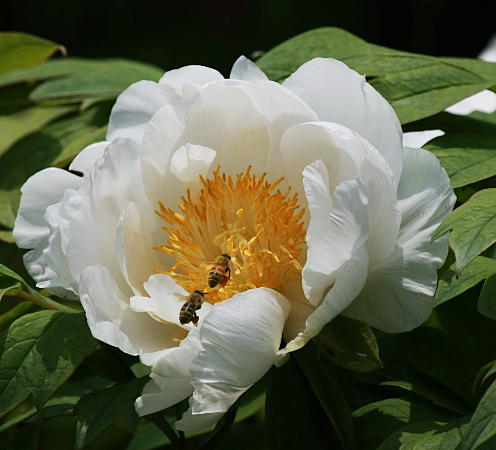 5C9J1367.jpg