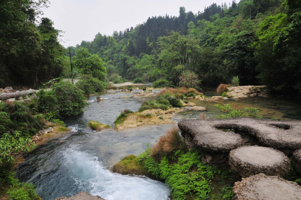 DSC_11.jpg