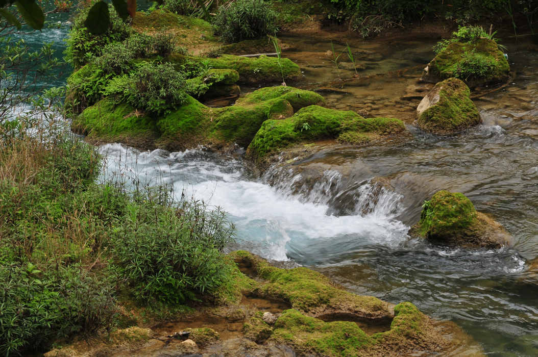 DSC_10.jpg