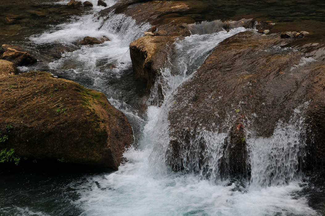 DSC_23.jpg