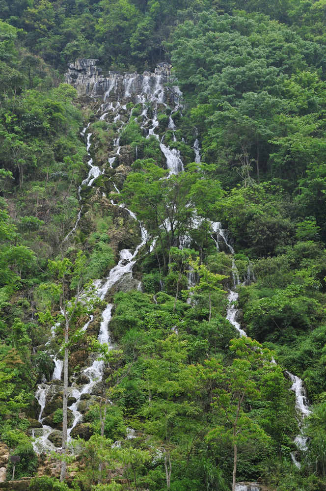 DSC_21.jpg