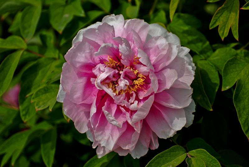DSC_0481.jpg