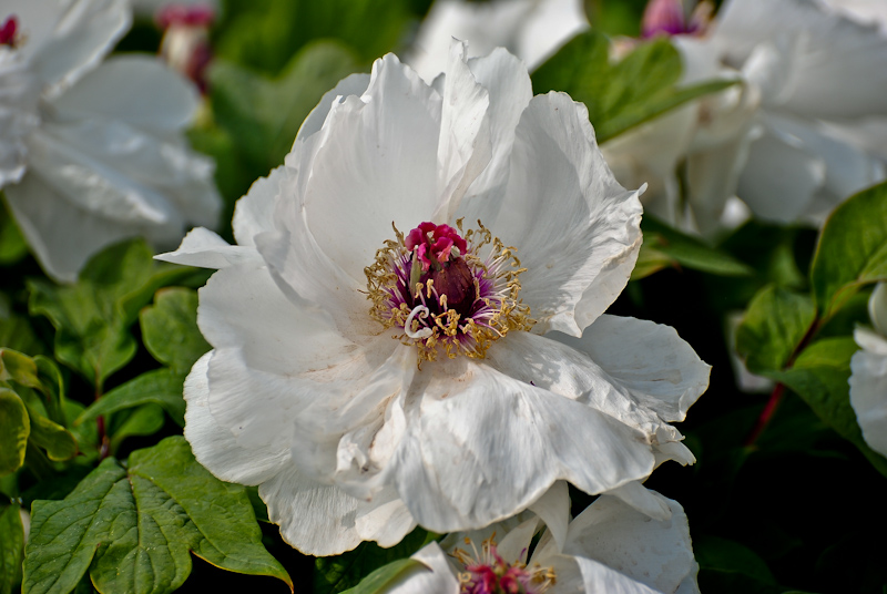 DSC_0482.jpg