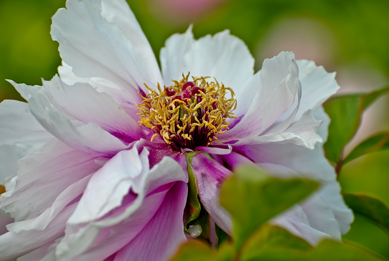 DSC_0645.jpg