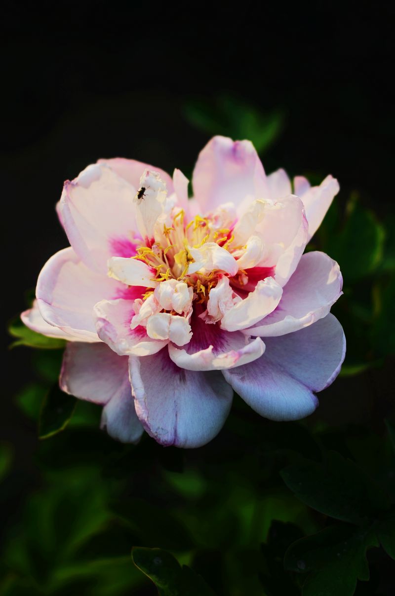 DSC_8987.jpg--06.jpg