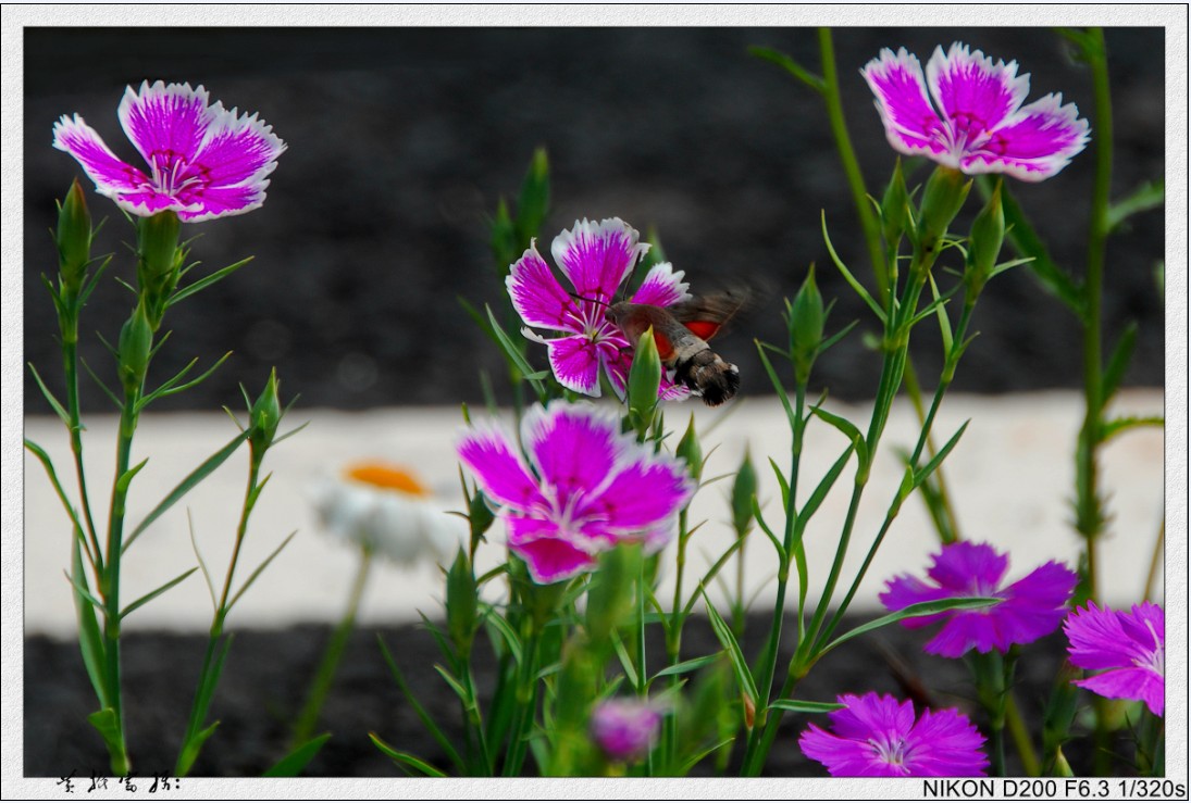 01.1))G8T3VZA}8P)74B~`P}3A.jpg