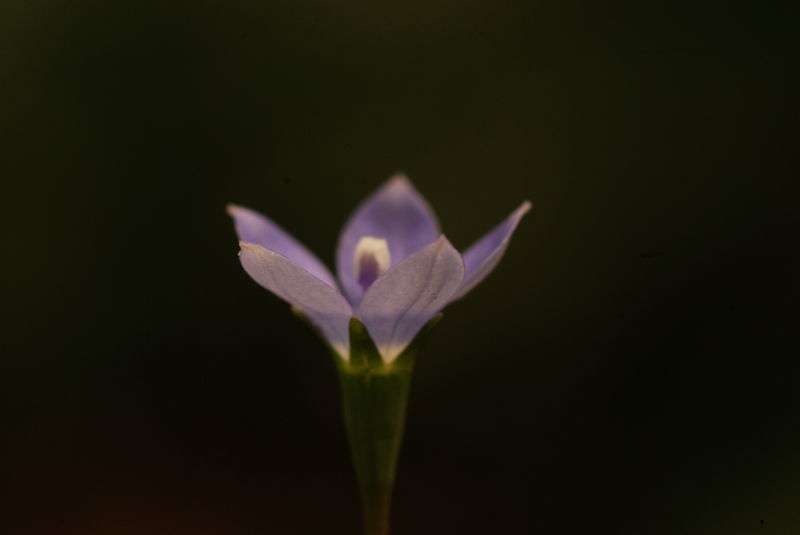 DSC_2773_.jpg