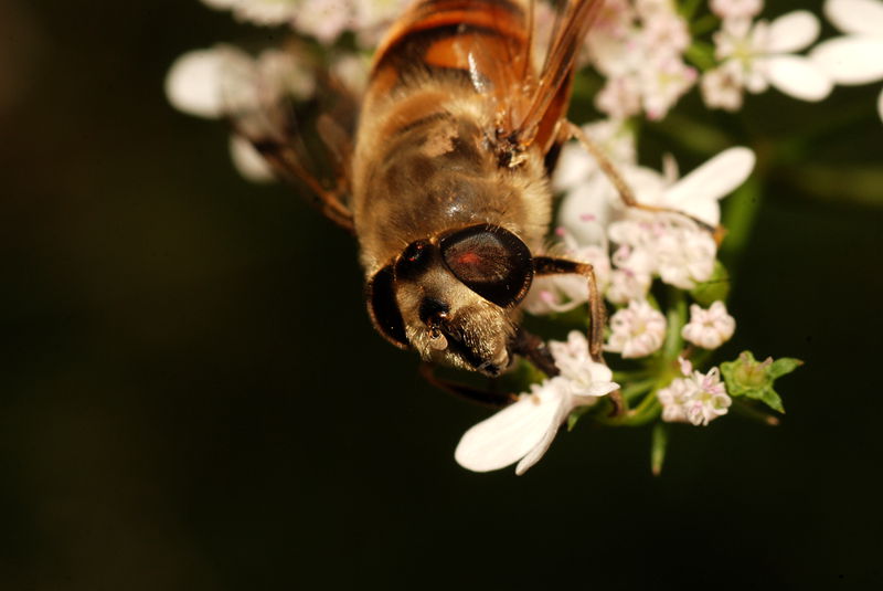 DSC_2846_.jpg