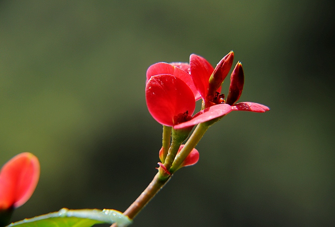 DSC_0087.JPG