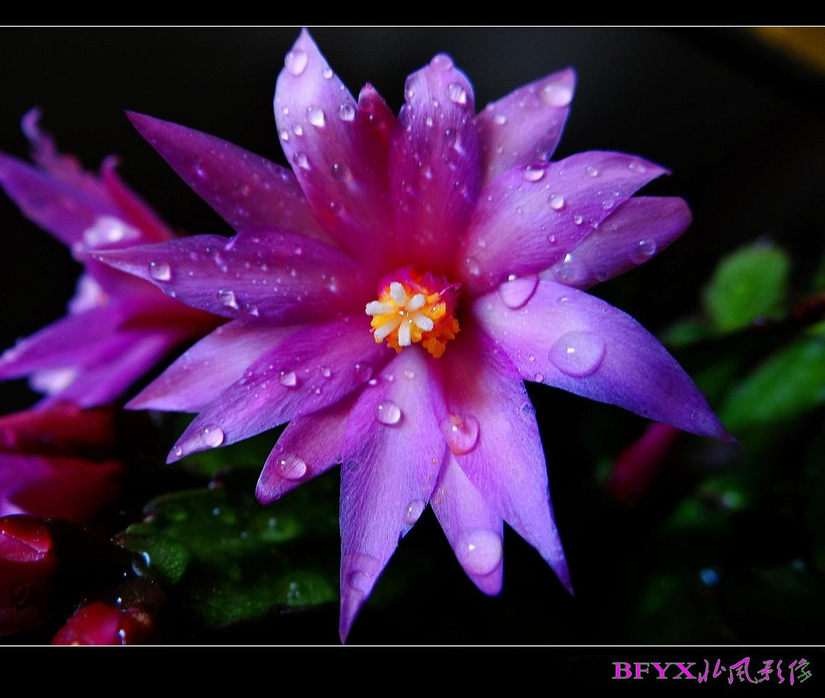 DSC04793_conew1.jpg