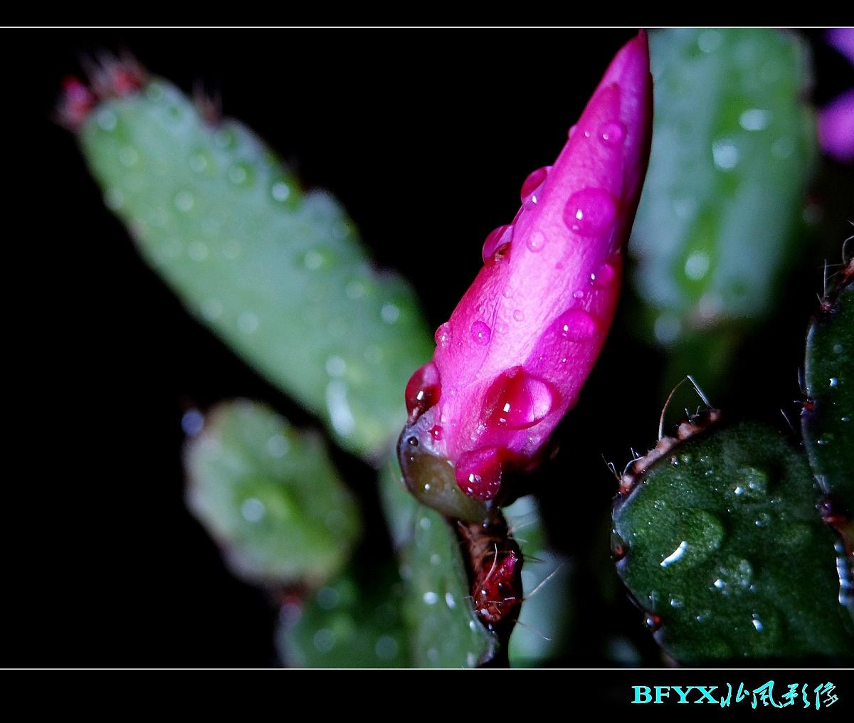 DSC04807_conew1.jpg