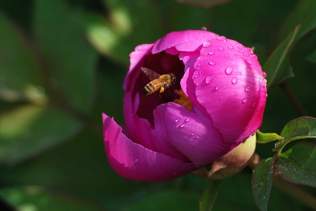 DSC_5159.jpg