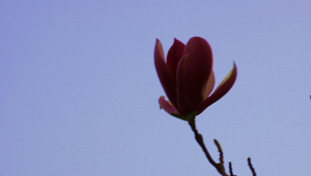 DSC00344.JPG