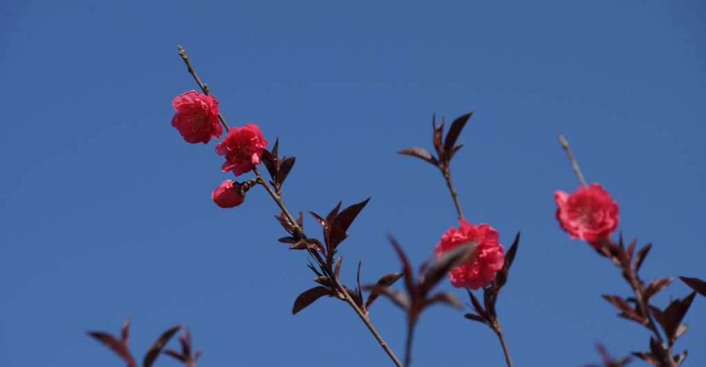 DSC00366.JPG