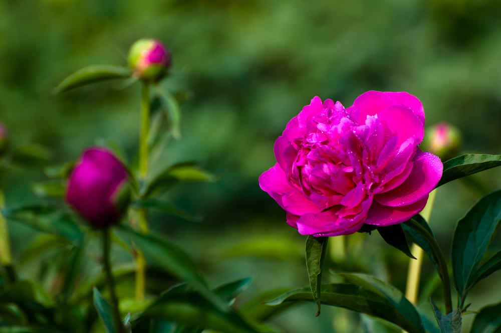 DSC_0003.jpg