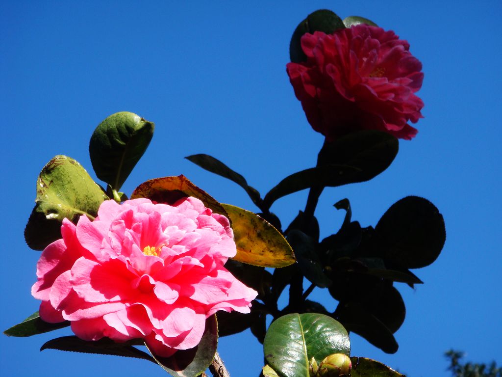 DSC07969.JPG