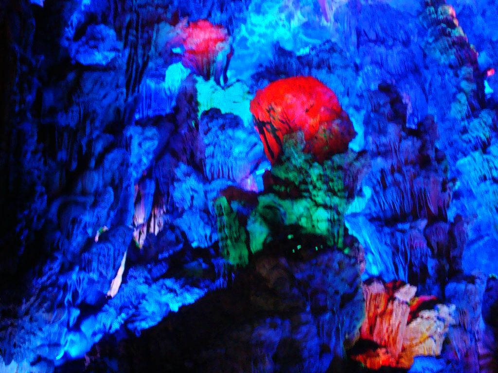 DSC06716.JPG