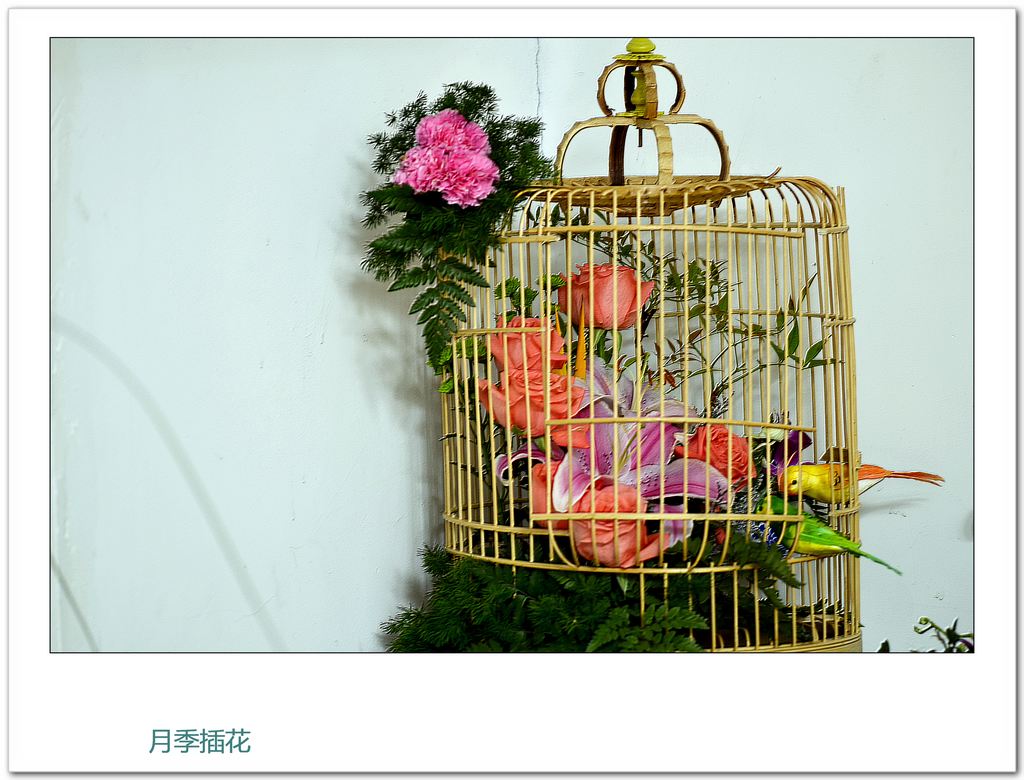_DSC1635¼廨32014.jpg