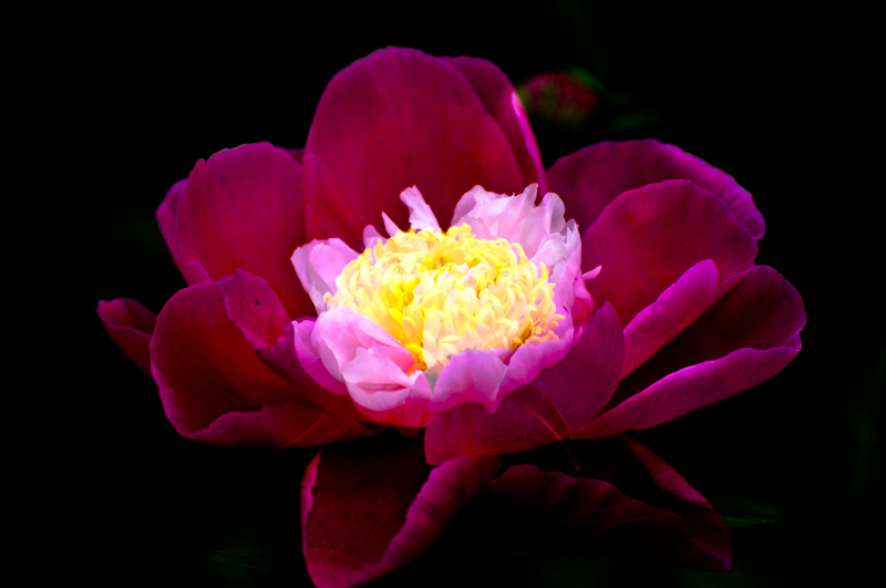 DSC_0123.jpg