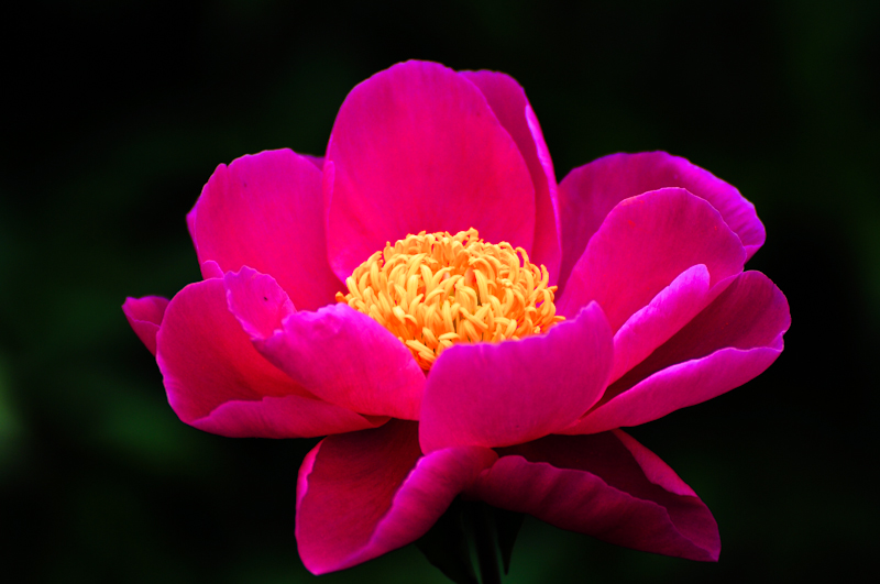 DSC_0124.jpg