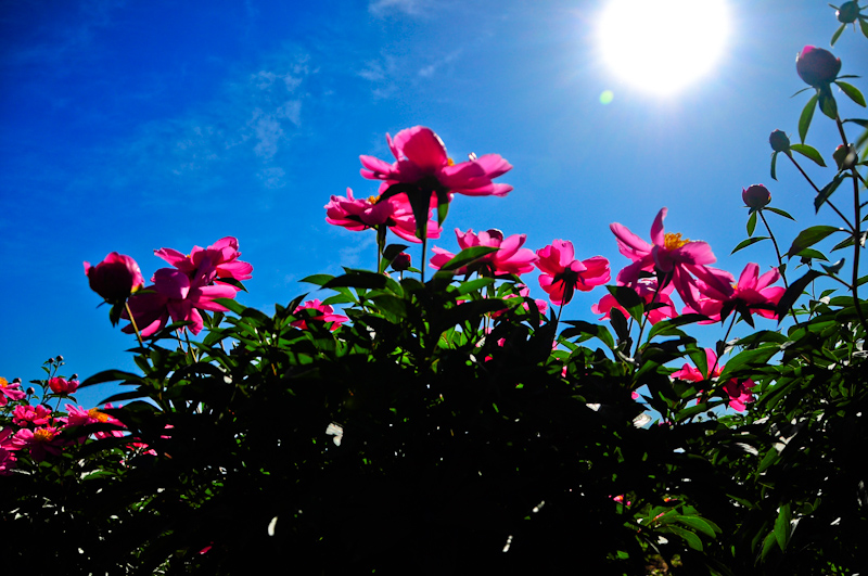 DSC_0186.jpg