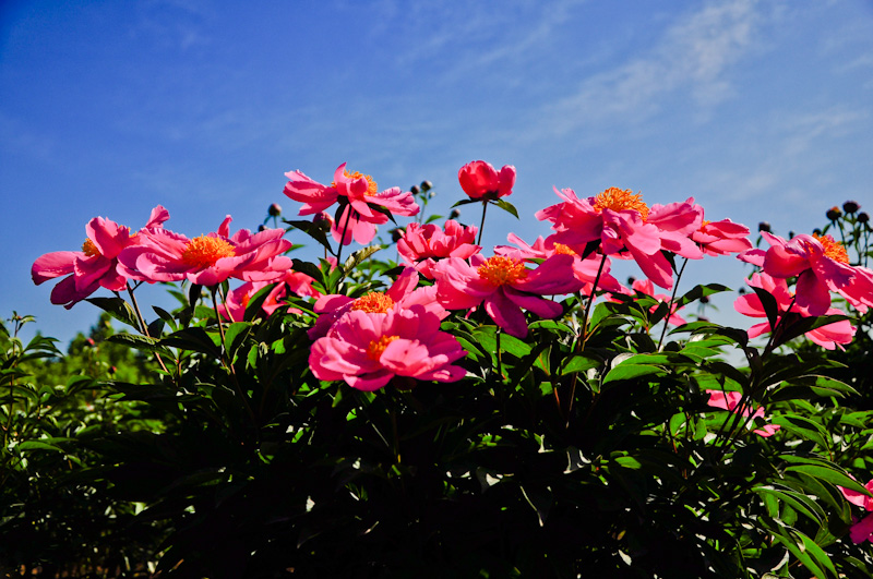 DSC_0192.jpg
