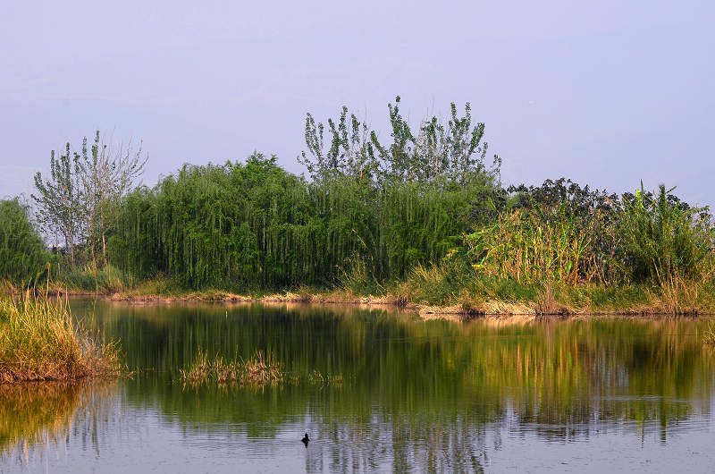 DSC_2374mx.jpg