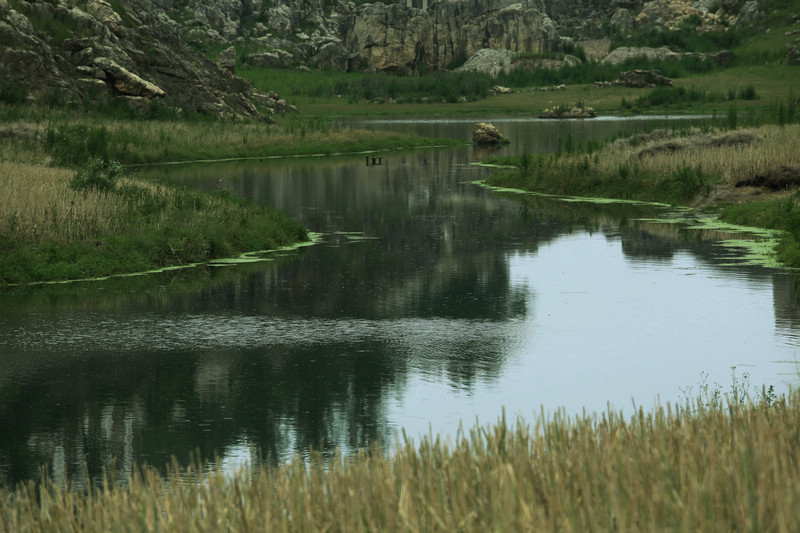 IMG_3466_.jpg