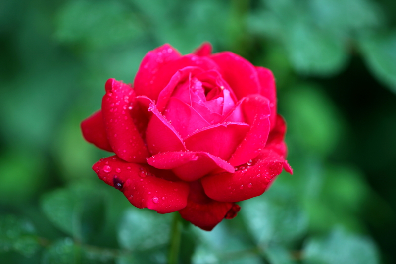 ALAL0407.JPG