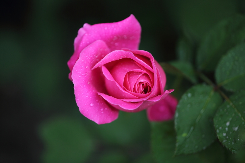 ALAL0427.JPG