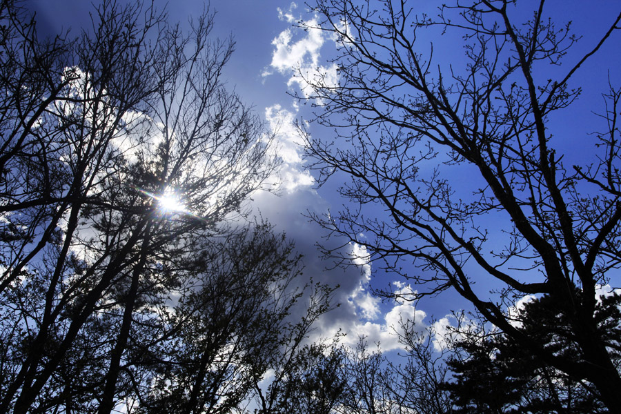 _MG_0011.JPG